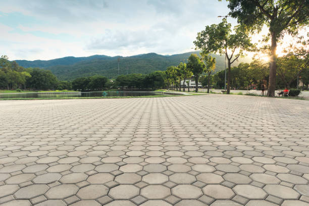 Professional Driveway Pavers in Island Walk, FL
